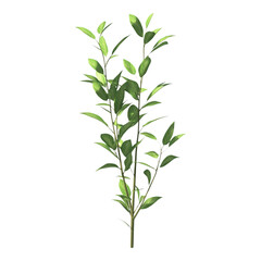 Obraz premium Fresh green plant stem and leaves featuring lush springtime growth are showcased vertically, isolated on a transparent background for seamless
