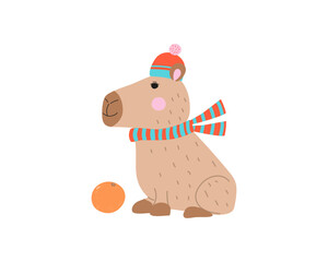 Funny cartoon capybara in warm clothes. Knitted hat and scarf. and orange. Animal, fruit, children's illustration, postcard design in flat style.
