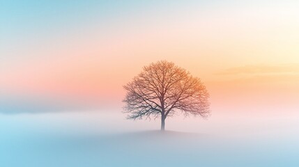 Solitary tree in foggy sunrise landscape.