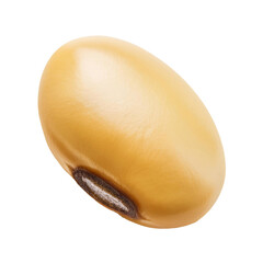 Single soybean rotating on transparent background