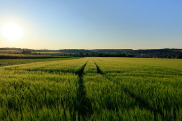 Blick über das Heckengäu bei Weissach in der Abenddämmerung