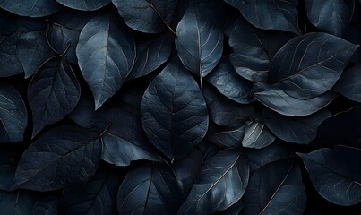 Fototapeta premium Abstract Nature Backgrounds Featuring Shadowy Leaf Silhouettes and Subtle Depth