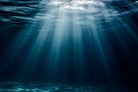 underwater world loop