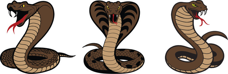 Set of Realistic dark color cobra vector illustration.