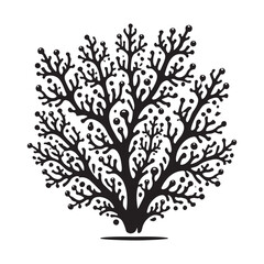 Obraz premium Coral seamless Silhouette Vector Illustration, Solid White Background.