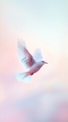 A graceful white bird in flight against a soft pastel background.