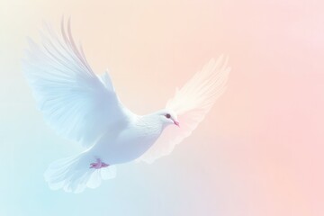 Fototapeta premium A transparent white dove gracefully flies against a beautiful gradient backdrop featuring pale pink, baby blue, and soft yellow hues. The design offers a serene atmosphere perfect for various creative