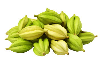 Fototapeta premium Dried cardamom seeds inside a green pod, isolated on transparent background. 