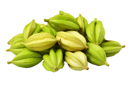 Dried cardamom seeds inside a green pod, isolated on transparent background. 