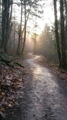 Fototapeta premium Serene Pathway Through Misty Forest at Dawn with Sunbeams Filtering Through Trees, Illuminating the Tranquil Trail and Fallen Leaves