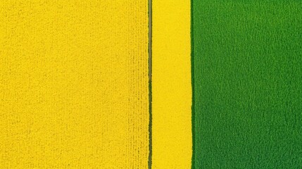 Obraz premium Vibrant Aerial View of Yellow and Green Fields Divided by Straight Line