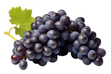 Fototapeta premium A bunch of fresh blue grapes, isolated on transparent background.
