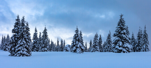 Snowy winter landscape panorama with snowy trees and cloudy sky. Winter mountains. Christmas holiday concept