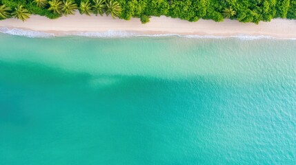 Serene Aerial View of Tropical Beach and Calm Azure Sea with Green Palm Trees