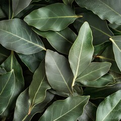 Dense arrangement of fresh bay leaves on a neutral background showcasing their vibrant green color