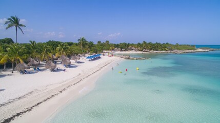 Aerial View of Serene Tropical Beach with Clear Water and Palm Trees
