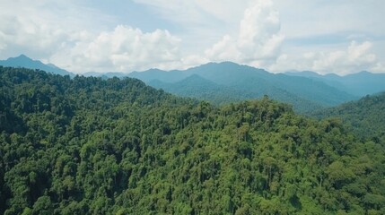 Fototapeta premium Lush Green Mountains Under Bright Sky in Tropical Rainforest Landscape