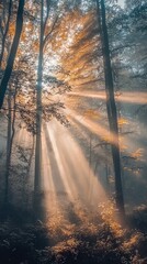 Fototapeta premium Serene Forest with Sunlight Streaming Through Trees and Soft Mist in Autumn Colors, Creating a Magical Atmosphere of Nature's Beauty
