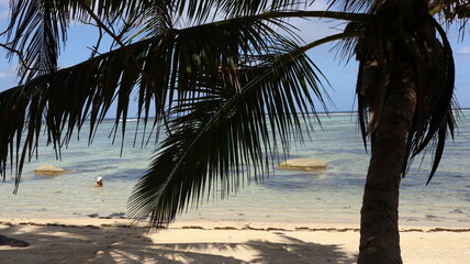 Seszele Seychelles krajobrazy plaże ocean © Grzegorz