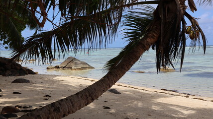 Seszele Seychelles krajobrazy plaże ocean © Grzegorz
