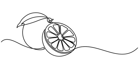 Orange continuous one line drawing, fruit vector illustration, Orange Continuous Line drawing illustration. Linear Simple juicy tropical fruit isolated on white. Minimalistic modern style. Fresh. 