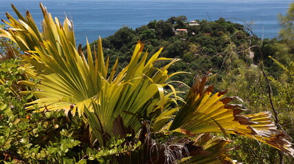 Seszele Seychelles krajobrazy plaże ocean © Grzegorz