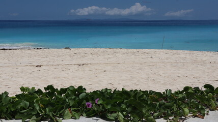 Seszele Seychelles krajobrazy plaże ocean © Grzegorz