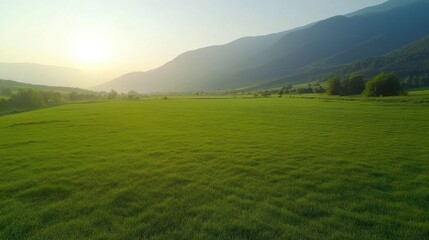 Obraz premium Serene Green Meadow with Mountains Under Bright Summer Sunlight