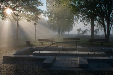 morning mist in the park