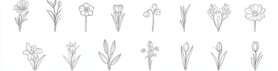 A collection of hand-drawn flowers and herbs. Botanical plant illustrations. A vintage set of hand-drawn medicinal herbs and plants. Ink sketches of medical herbs and plants in a classic style.