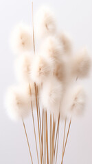 Bouquet of cotton swabs isolated on white.