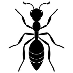 Ant silhouette vector illustration on white background