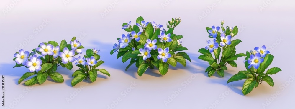 Poster a set of isolated white anemones in a 3d illustration..an isolated set of white anemones featured in