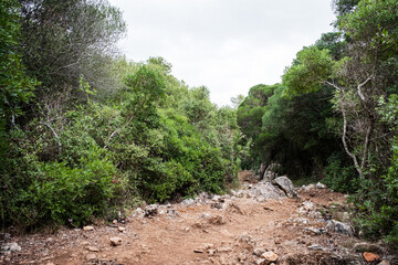 Fototapeta premium on the camino de cavalls menorca 