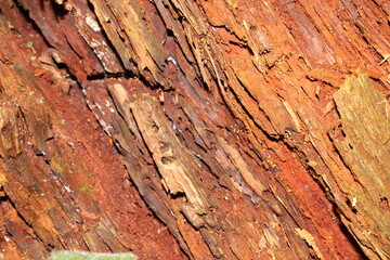 old wood texture
