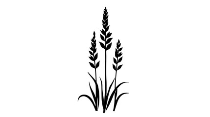 Fototapeta premium A tall stalk with delicate flowers forming a conical shape, Vectorized Plant Art