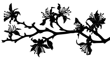 Fototapeta premium Witch hazel branches with ribbonlike petals unfurling, Vectorized Plant Art