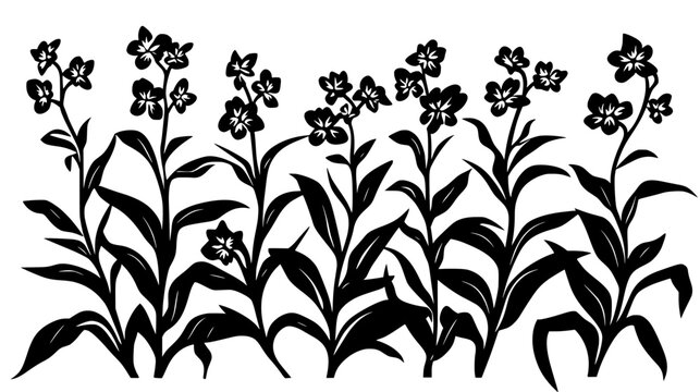 Witchweed infesting a field of corn plants, Vectorized Plant Art