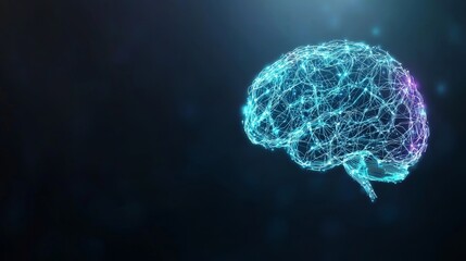 Digital Brain Network Visualization