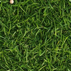 Obraz premium Top view photo of fresh green grass with a small snail shell, seamless texture