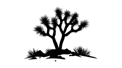 Fototapeta premium Joshua tree with spiky leaves in the Mojave Desert, Plant Illustration