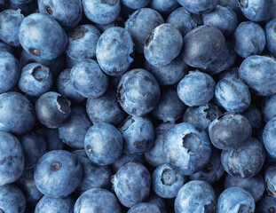 Top view blueberries. Blueberries as a background