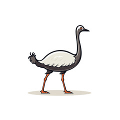 Ostrich vector illustration