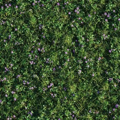 Top view photo of uneven wild grass with tiny purple flowers, seamless texture