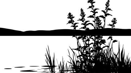 Fototapeta premium Tall plant with multiple flowers growing along the edge of a marsh, Plant Illustration