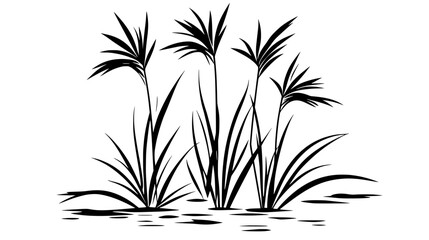 Papyrus stalks rising from a muddy riverbank, Plant Vector Graphic