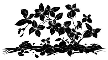 Plumeria tree with flowers fallen on the ground, Plant Vector Graphic