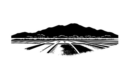 Fototapeta premium Rice paddies fed by water circulating from tilapia ponds, Plant Vector Graphic