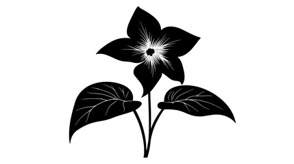 Trillium flower with three petals in the forest understory, Plant Vector Graphic