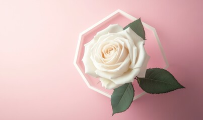 Fototapeta premium A white rose is in a vase with a green leaf